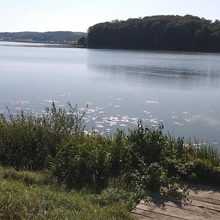 Apartma Mbm Appartamento Križevci pri Ljutomeru Esterno foto