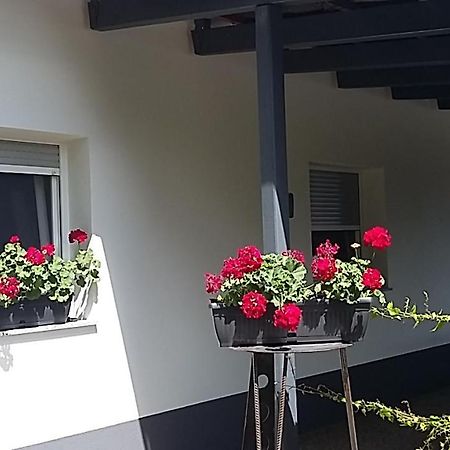 Apartma Mbm Appartamento Križevci pri Ljutomeru Esterno foto