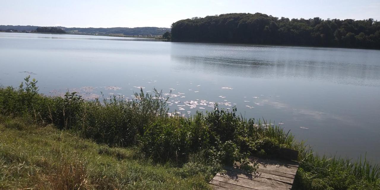 Apartma Mbm Appartamento Križevci pri Ljutomeru Esterno foto