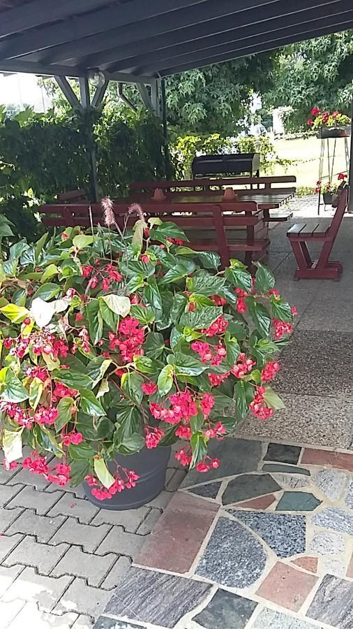 Apartma Mbm Appartamento Križevci pri Ljutomeru Esterno foto