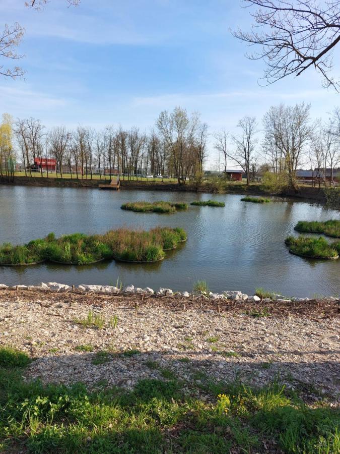 Apartma Mbm Appartamento Križevci pri Ljutomeru Esterno foto
